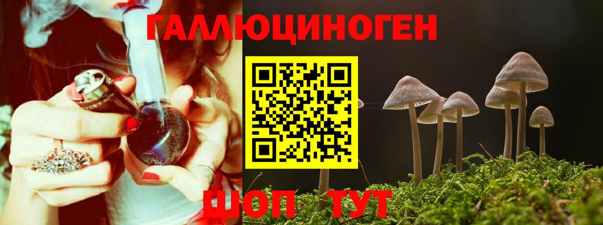 Псилоцибиновые грибы мухоморы Дагестанские Огни